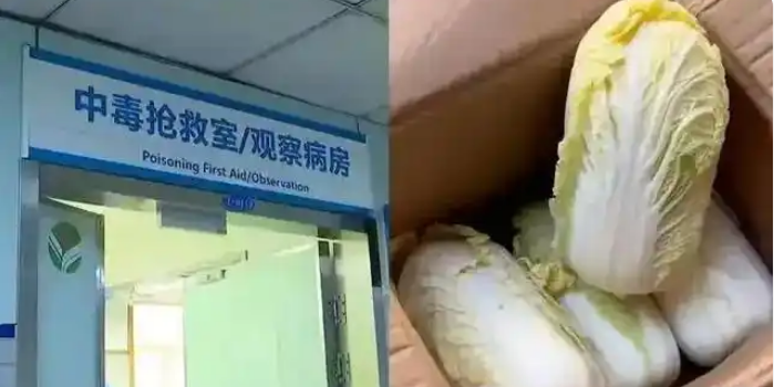 八斤娃娃菜毒倒两人：低价背后的“毒包装”与防水行业